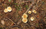 IMG_1119