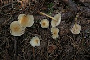 IMG_1121
