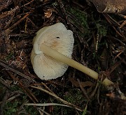 IMG_1123
