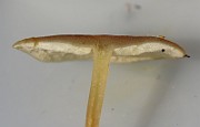IMG_1949