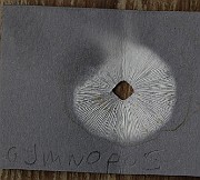 IMG_3805