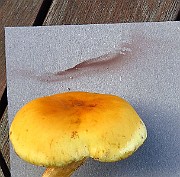 IMG_9603