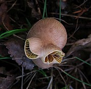 IMG_0395