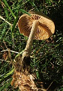 IMG_0397