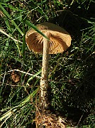 IMG_0398