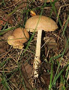 IMG_0401