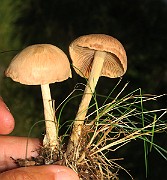 IMG_0402