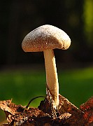 IMG_2166