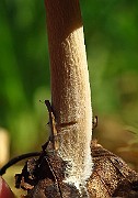 IMG_2168