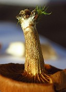 IMG_2835