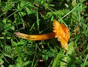 IMG_1738