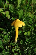 IMG_1739