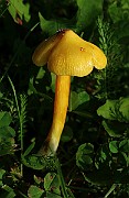 IMG_1740