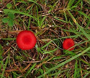 IMG_2794
