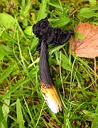 IMG_2730