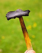 IMG_2734