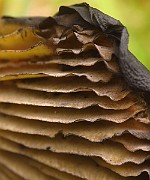 IMG_2735