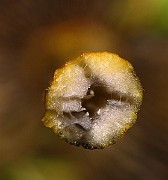 IMG_2739
