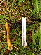 IMG_2740