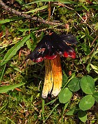 IMG_2743