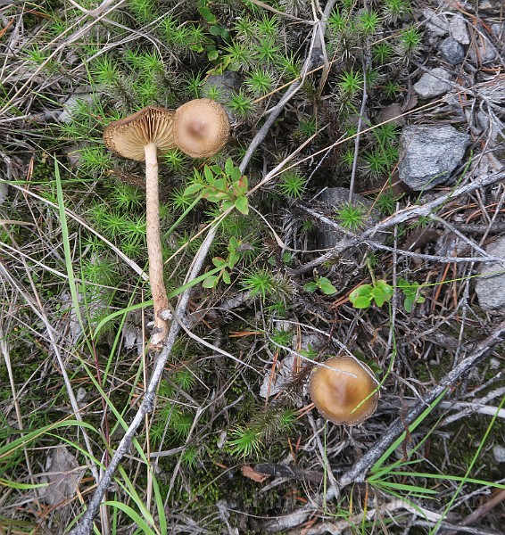 IMG_0084.JPG