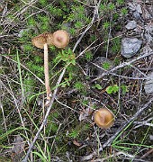 IMG_0084