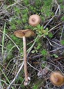 IMG_0085