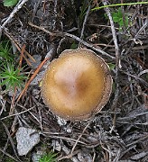 IMG_0086