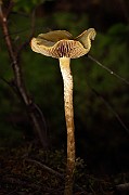 IMG_2428