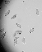 x20200721_210852