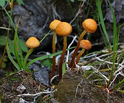 IMG_5891