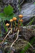 IMG_5892