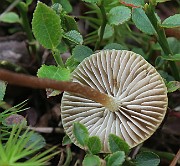 IMG_7369b