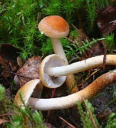 IMG_0828