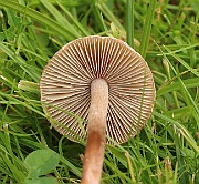 IMG_0664