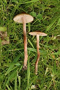 IMG_0666