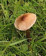 IMG_0670