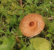 IMG_0671