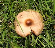 IMG_0672