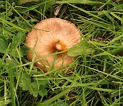 IMG_0673