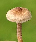 IMG_0679
