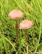 IMG_0680