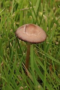 IMG_0681