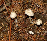 IMG_1613