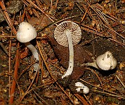 IMG_1615
