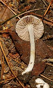 IMG_1616