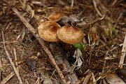 IMG_0157