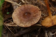 IMG_0158