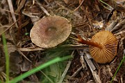 IMG_0159