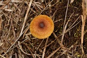 IMG_0166